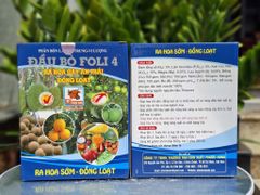 Bộ đôi rước mắt cua trên sầu riêng: ĐẦU BÒ FOLI 4 + NEWBRA 0.01SL: ra hoa sớm, đồng loạt; điều hòa sinh trưởng cây trồng giai đoạn ra hoa