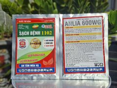 Combo trị bệnh thán thư, sương mai không nóng nhóm cây trồng bầu bí dưa (dưa leo, dưa lê, dưa chuột)