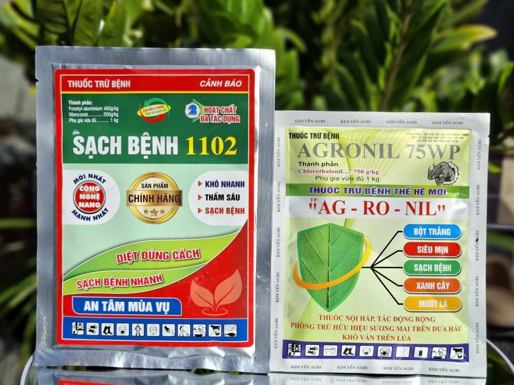Bộ Giải Pháp 1 gói SẠCH BỆNH 1102 + 1 gói AGRONIL: đặc trị sương mai, cháy lá, đốm lá trên cây dưa hấu