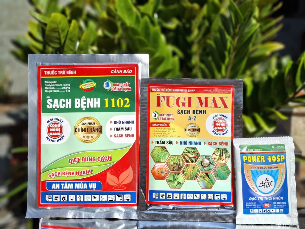 Thuốc trừ bệnh thối ngó cây sen, thối lá và thối rễ sen: Fugi max 25g và Sạch bệnh 1102 50g VÀ Poner 10gam