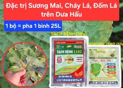 Bộ Giải Pháp 1 gói SẠCH BỆNH 1102 + 1 gói AGRONIL: đặc trị sương mai, cháy lá, đốm lá trên cây dưa hấu