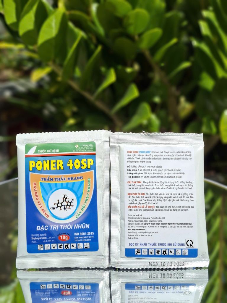Combo trị bệnh thán thư, sương mai không nóng nhóm cây trồng bầu bí dưa (dưa leo, dưa lê, dưa chuột)