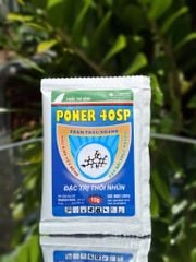 (gói 10gam) Gói poner 40sp chứa Streptomycine 400g/kg, Quản lý thối nhũn, thối rễ, thối thân, thối trái, cháy lá
