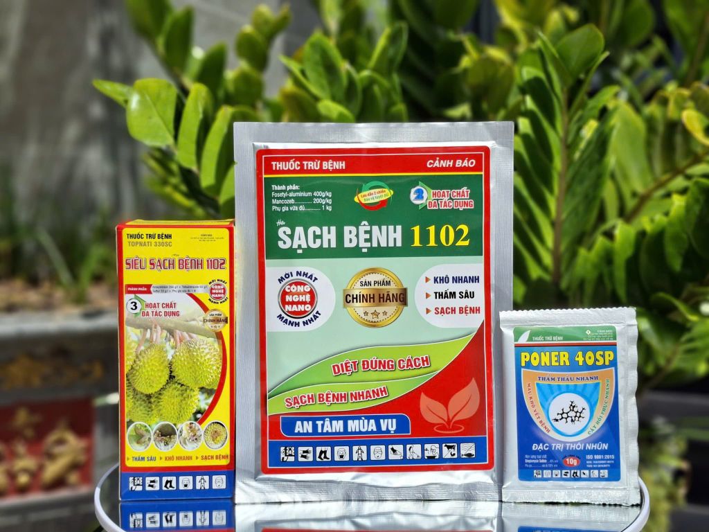Combo trị bệnh thán thư, sương mai không nóng nhóm cây trồng bầu bí dưa (dưa leo, dưa lê, dưa chuột)