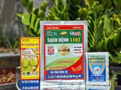 Combo trị bệnh thán thư, sương mai không nóng nhóm cây trồng bầu bí dưa (dưa leo, dưa lê, dưa chuột)