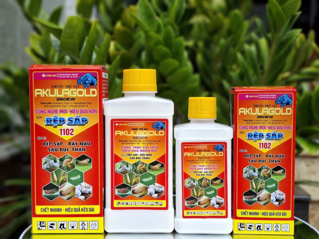 (Rệp sáp cây đào) Phòng trừ rệp sáp gây hại cây đào, không nóng, mát cây, mát bông