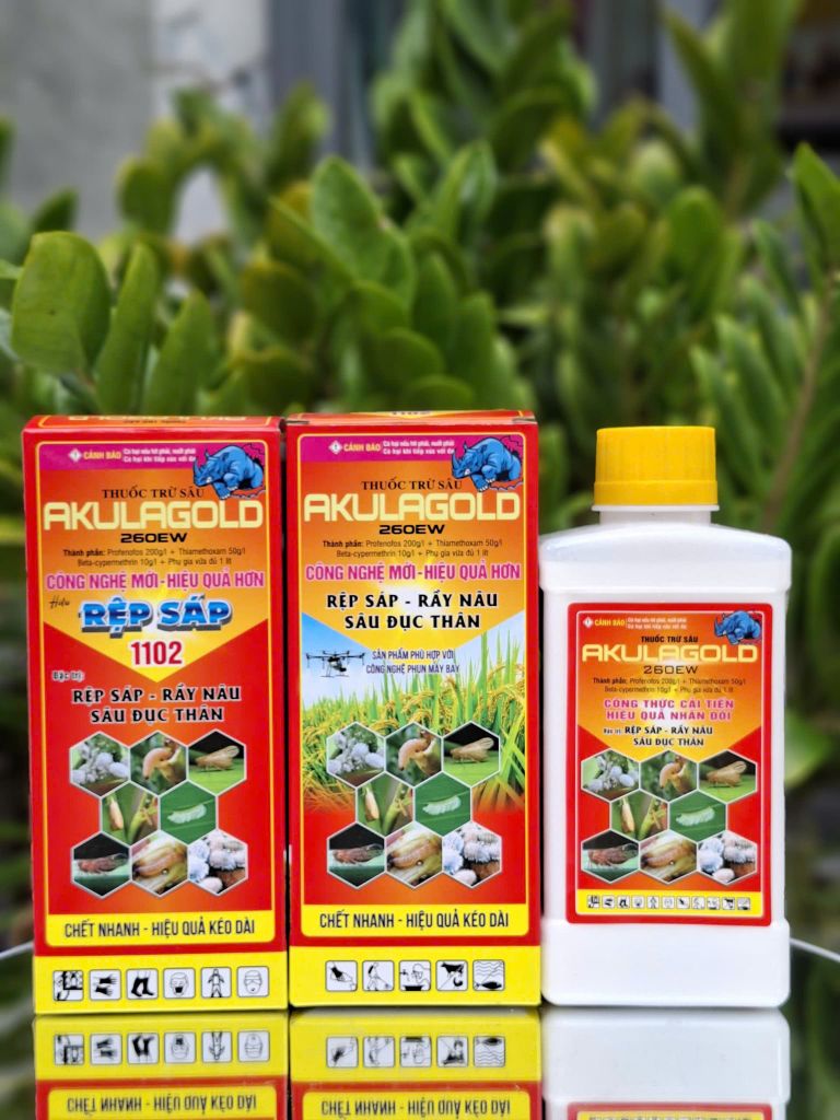 (Rệp sáp cây đào) Phòng trừ rệp sáp gây hại cây đào, không nóng, mát cây, mát bông