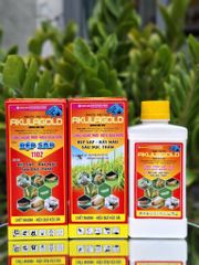 (Rệp sáp cây đào) Phòng trừ rệp sáp gây hại cây đào, không nóng, mát cây, mát bông