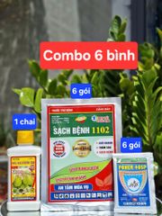 Combo trị bệnh thán thư, sương mai không nóng nhóm cây trồng bầu bí dưa (dưa leo, dưa lê, dưa chuột)