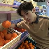  Áo Polo Osl Evo  - 33061 - Bigsize upto 140kg 