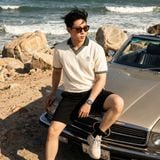  Áo Polo Sun Dream 88701 – Relax, Trẻ Trung, Năng Động 