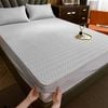  Chiếu Latex Nekio Ghi bo chun bọc đệm 