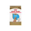 Hạt Cho Chó Con Royal Canin Poodle Puppy