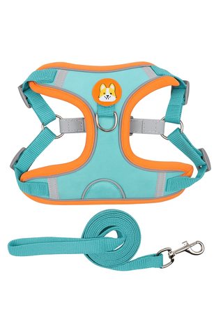 Đai yếm kèm dây dắt thú cưng đi dạo, thiết kế nịt ngực chắc chắn, tiện lợi