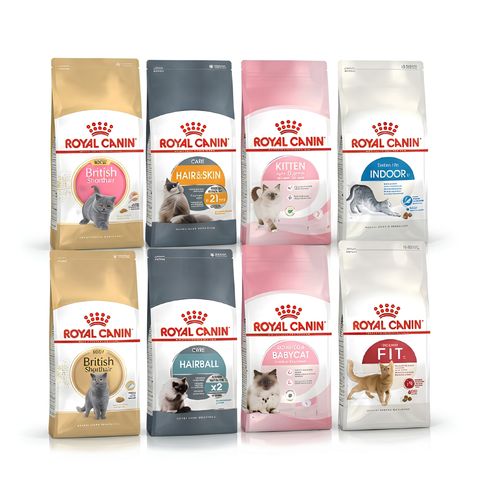 (400g) Hạt Cho Mèo Royal Canin Kitten, MotherBabycat, Indoor, Fit32, HairBall, HairSkin, Shorthair