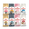 (400g) Hạt Cho Mèo Royal Canin Kitten, MotherBabycat, Indoor, Fit32, HairBall, HairSkin, Shorthair