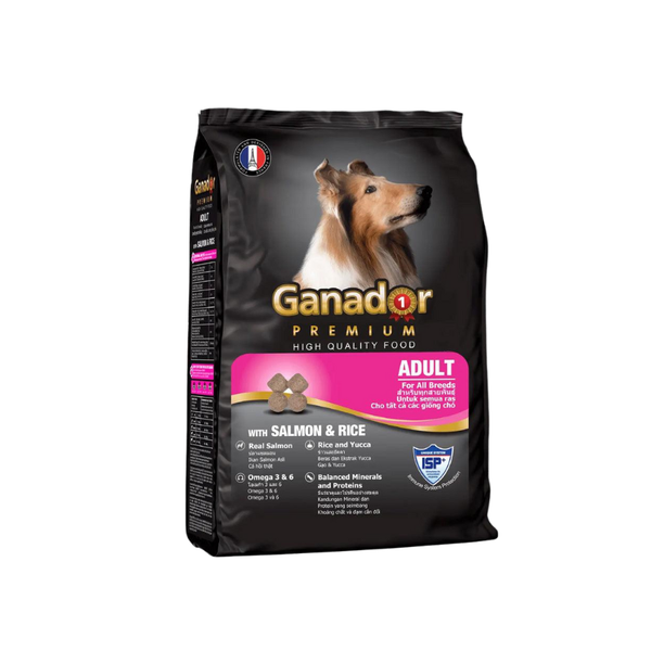 Hạt cho chó trưởng thành Ganador vị cá hồi 400g