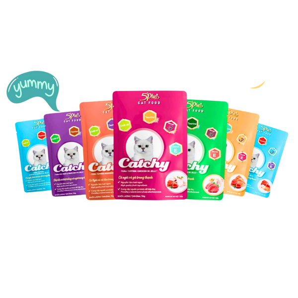 Pate 5Plus Catchy cho Mèo Nhiều Dinh Dưỡng 70g