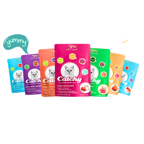 Pate 5Plus Catchy cho Mèo Nhiều Dinh Dưỡng 70g