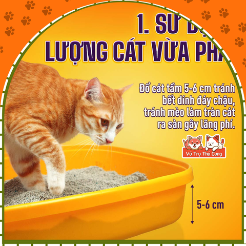 Cát vệ sinh cho mèo Lapaw Than hoạt tính khử mùi tốt 10L