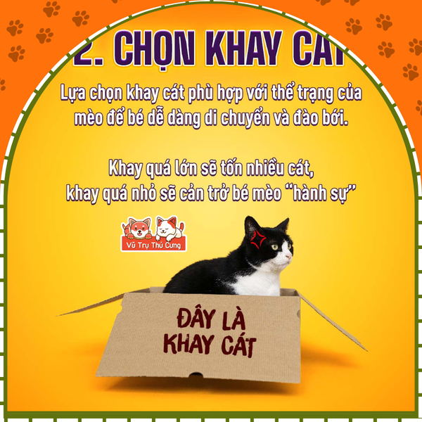 Cát vệ sinh cho mèo Lapaw Than hoạt tính khử mùi tốt 10L