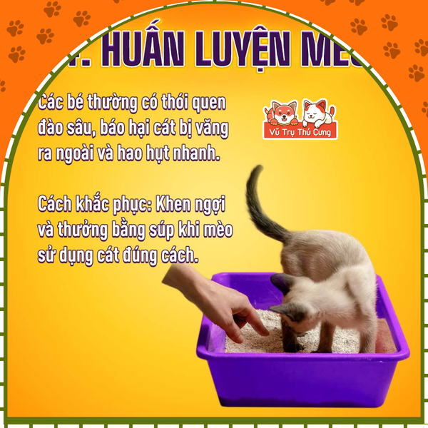 Cát vệ sinh cho mèo Lapaw Than hoạt tính khử mùi tốt 10L