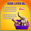 Cát vệ sinh cho mèo Lapaw Than hoạt tính khử mùi tốt 10L