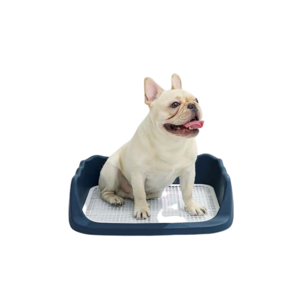 Khay vệ sinh cho Chó có thành cao chống văng nước 40x50cm