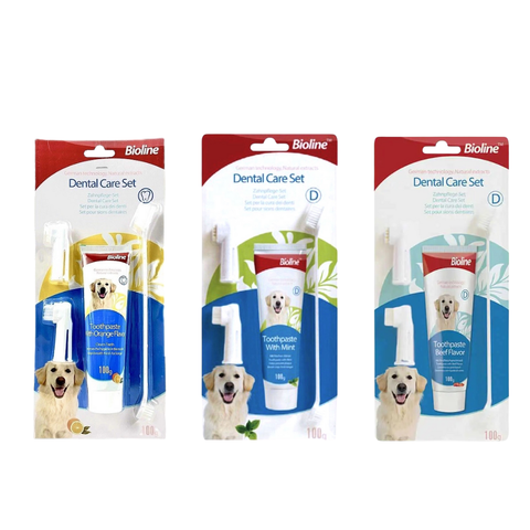 Bộ bàn chải và kem đánh răng cho Chó Bioline 100g, sạch răng, giảm hôi miệng thú cưng