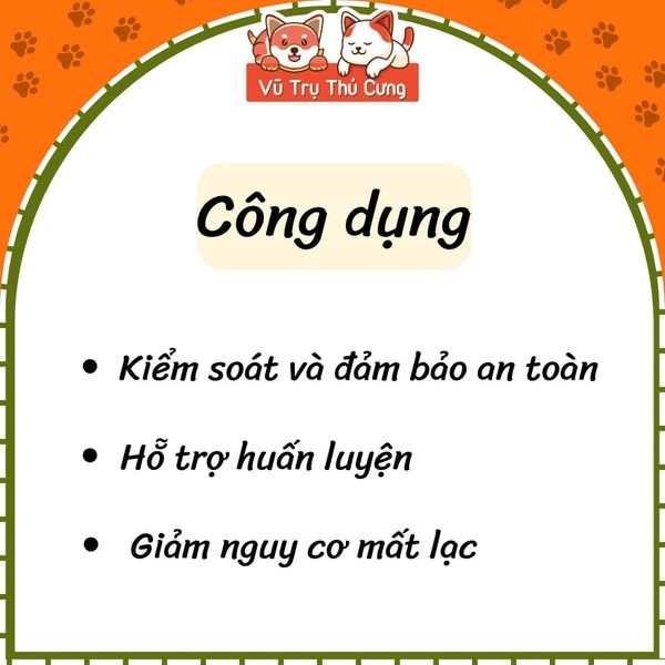 Dây Xích Inox 2 Móc Cho Thú Cưng Nhiều Size2