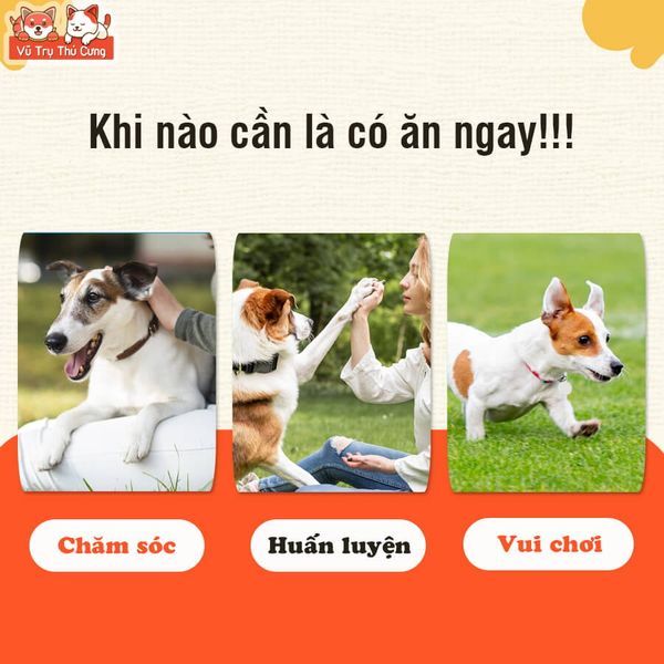Snack Cho Chó Đùi Gà Chà Bá Da Bò Bọc Thịt Gà Doggyman Túi 2 cây