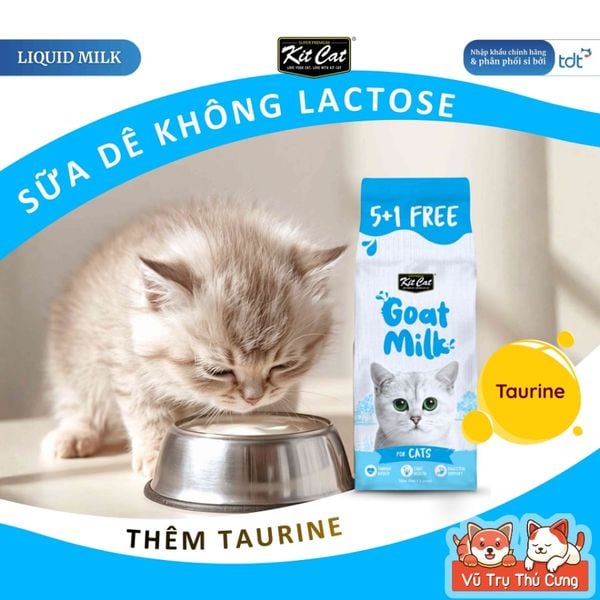 Sữa Cho Mèo KitCat Goat Milk Gói 50ml - Không Lactose
