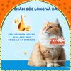 Hạt Cho Mèo MRVET G1 Không Chứa Ngũ Cốc Mix Topping Gói 1KG (Tặng Súp Thưởng)2