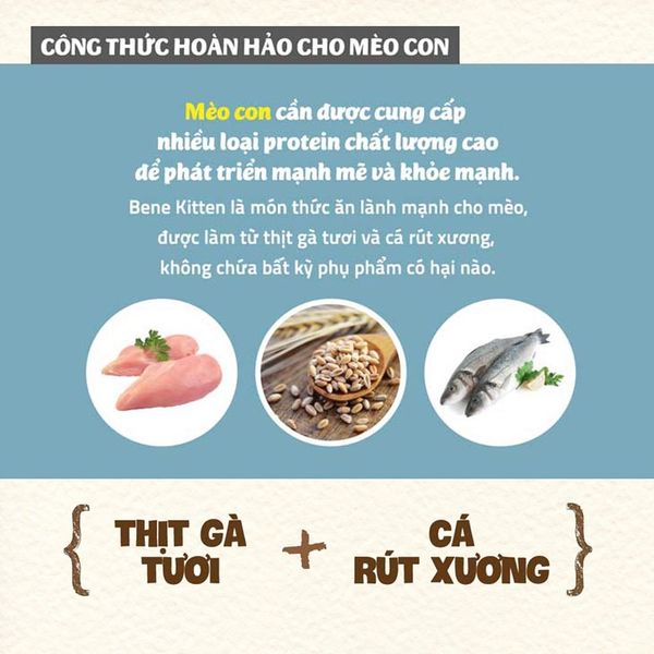 Hạt Cho Mèo Con Natural Core Bene C1
