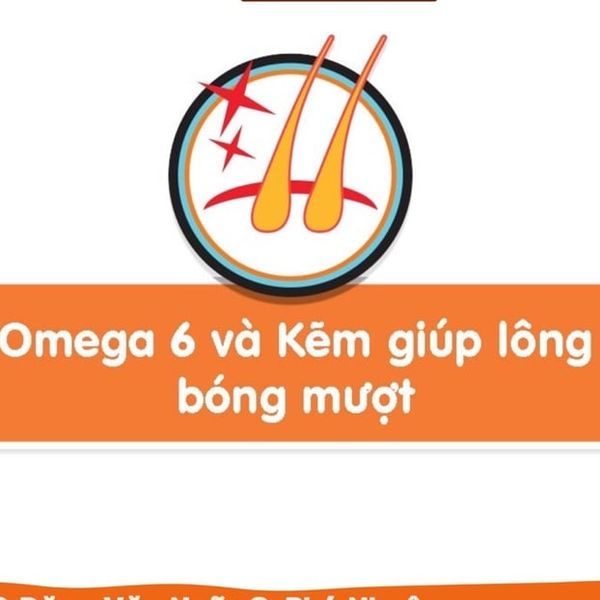 Thức Ăn Hạt Pedigree Cho Chó Bò Gà Nhiều Dinh Dưỡng