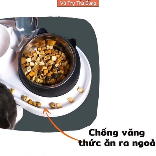 Bát Ăn Chống Kiến Và Chống Gù Lưng Cho Chó Mèo Kèm Bình Nước Tự Động