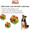 Đồ Chơi Cho Thú Cưng Banh Cao Su Đan 3 Màu Doggyman