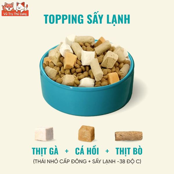 Thức Ăn Cho Mèo Bite Of Wild F42 Thành Phần 6 Loại Cá Biển, Protein 42%, Giúp Mượt Lông Da