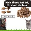 Thức ăn hạt Cat Eye Hàn Quốc cho Mèo 1Kg (Nguyên Seal)