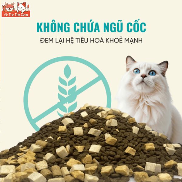 Thức Ăn Cho Mèo Bite Of Wild P42 Không Độn Ngũ Cốc, Hàm Lượng Protein 42%, Giúp Mèo Tăng Cân