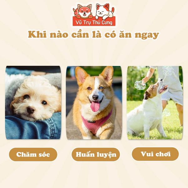 Snack Cho Chó Que Da Bò Tự Nhiên Doggyman Size Nhỏ 10 cây