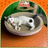 Bàn Cào Móng Cho Mèo Kết Hợp Chỗ Ngủ
