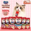 Súp Thưởng Cho Mèo Silver Spoon Thái Lan Từ Thịt Cá Thật (Túi 4 Thanh)