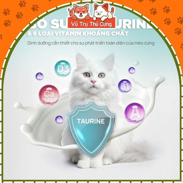 Súp Thưởng Cho Mèo Sữa Dê PetQ 15g2