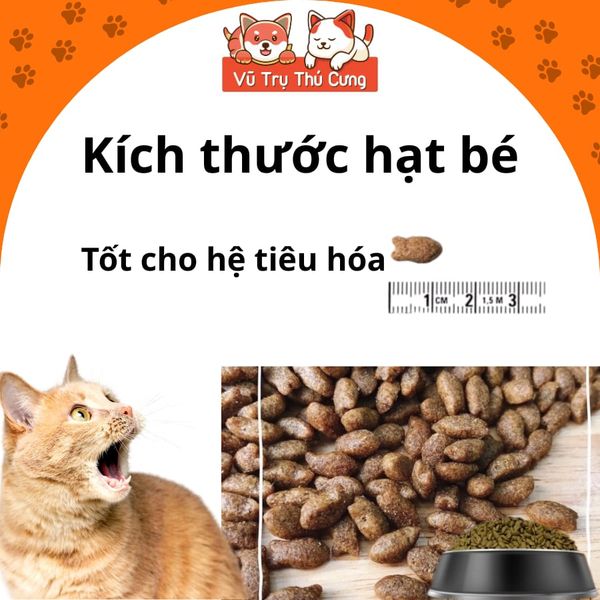 (Nguyên Seal) Hạt Cho Mèo Cat's Eye Hàn Quốc Mọi Độ Tuổi2