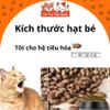 (Nguyên Seal) Hạt Cho Mèo Cat's Eye Hàn Quốc Mọi Độ Tuổi2