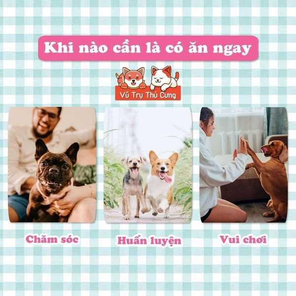 Xương Sữa Dê Bổ Sung Canxi Cho Chó DoggyMan 140g