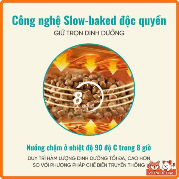 (Mua 1 Tặng 4) Thức Ăn Cho Mèo Bite Of Wild 1Kg Cao Cấp Giàu Đạm, Không Độn Ngũ Cốc-Nhiều Thịt