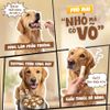 Snack Cho Chó Phô Mai Que Doggyman Xuất Xứ Nhật Bản Túi 6 Thanh
