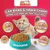 Hạt Cho Mèo Maxime Cao Cấp Hỗ Trợ Tiết Niệu Và Cân Bằng Dinh Dưỡng